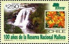 [The 100th Anniversary of Malleco National Reserve, type BVR]
