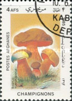 [Flora - Mushrooms, type ABS]