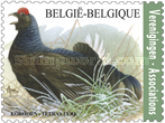 [Fauna - Birds, type EFV]