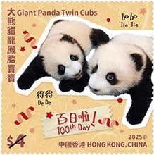 [Giant Panda Twin Cubs, type CQV]