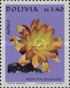 [Airmail - Bolivian Flora, type PA]