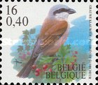 [Birds, type CIU]