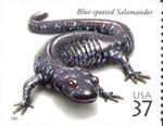 [Reptiles and Amphibians - Self-Adhesive, type EKI]