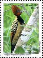 [MERCOSUR Issue - Autochthonous Birds, type EDJ]