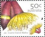 [Australian Wildflowers, type CJX]