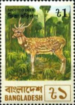 [Animals, type BK]