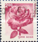 [Flowers - Rose, type ZAZ]