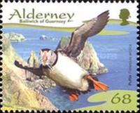 [Seabirds, type JY]