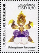 [Orchids, type DFP]