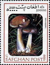 [Mushrooms, type ARW]
