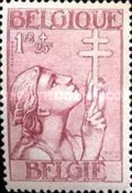 [The struggle against Tuberculosis, type EW4]