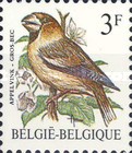 [Birds, type BHG]