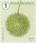 [Definitives - Tree Fruits and Nuts, type FHD]
