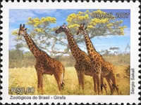 [Brazilian Zoos, type EBI]