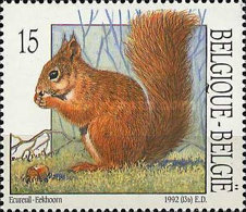 [Rodents, type BSD]