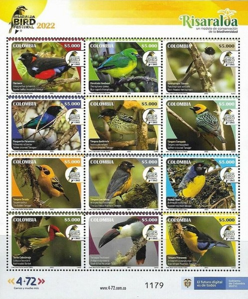 [Risaralda Bird Festival, type ]