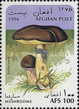 [Mushrooms, type ALQ]
