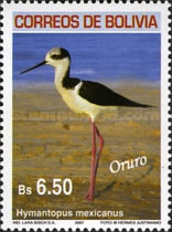 [Birds of Bolivia - Oruro, type BII]