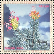 [America UPAEP - Medicinal plants of the Cerrado, type DUJ]
