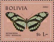 [Butterflies, type OI]