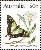 [Butterflies, type AAD]