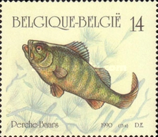 [Fish, type BON]