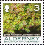 [Marine Life - Corals and Anemones, type KB]