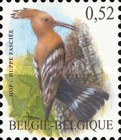 [Birds, type CSE]
