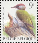[Birds, type CDB]