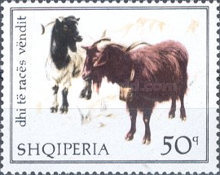 [Domestic Goats, type AEA]
