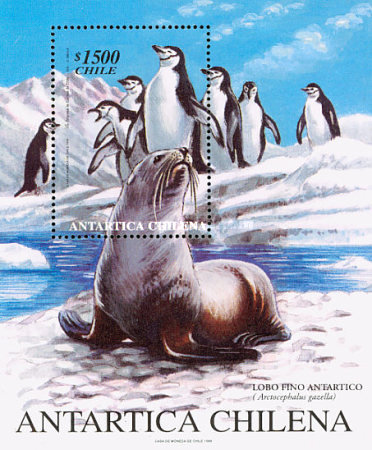 [Antarctica, type ]