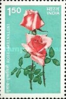 [Roses, type AEX]