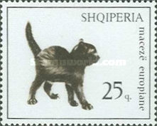 [Cats, type YQQ]