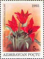 [Flowers, type AM]