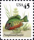 [Fish - Pumpkinseed Sunfish, type BUR]