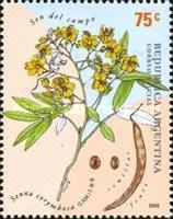 [Medicinal Plants, type CLH]