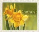 [Daffodils - Self-Adhesive, type CHV1]