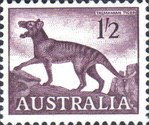 [Animals, type GC]