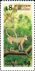 [Endangered Species, type KX]