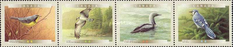 [Birds, type ]