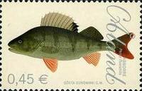 [Fish - Perch & Zander, type JW]