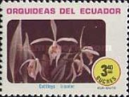 [Orchids, type BQS]
