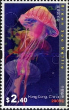 [Jellyfish, type AXP]