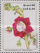 [Flowers, type CDV]