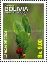 [Medical Plants - Coca Leaf, type BPF]