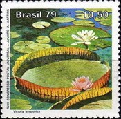 [The 18th Anniversary of the U.P.U. Congress - Amazon National Park, type BLM]