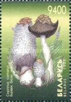[Mushrooms, type IT]