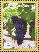 [Mercosul - Export Products - Fruit, type EEM]