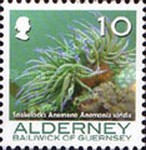 [Marine Life - Corals and Anemones, type KI]