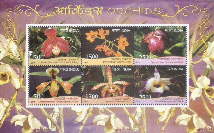 [Flowers - Orchids, type ]